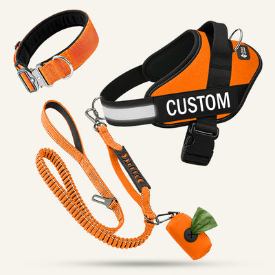 All-In-One No-Pull Set - Orange