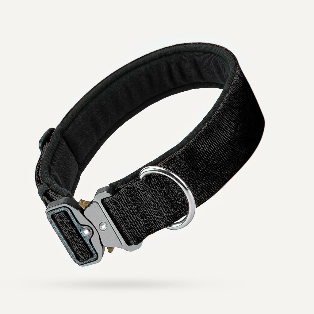 Collier tactique pour chien