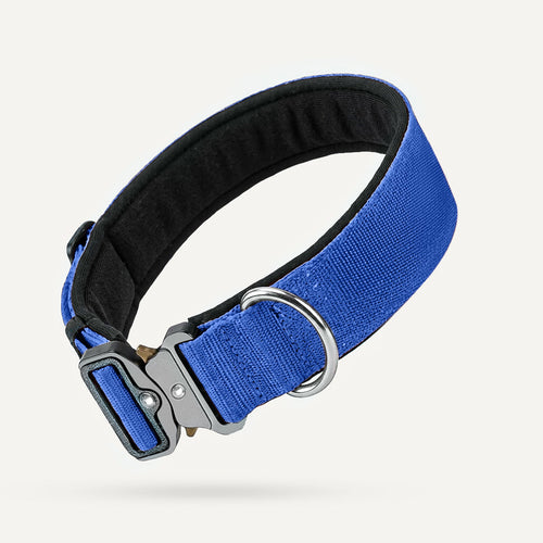 Collier tactique pour chien