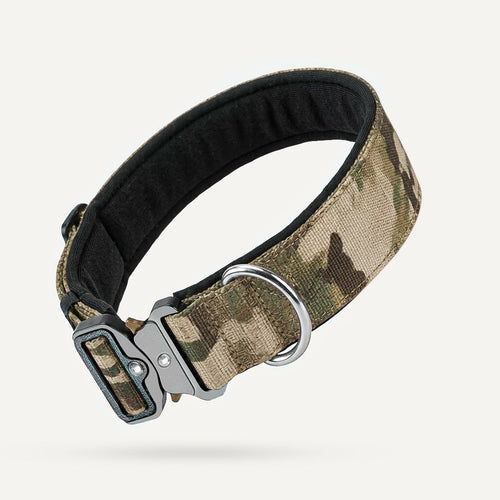 Collier tactique pour chien