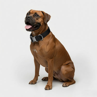 Tactical Dog Collar detail