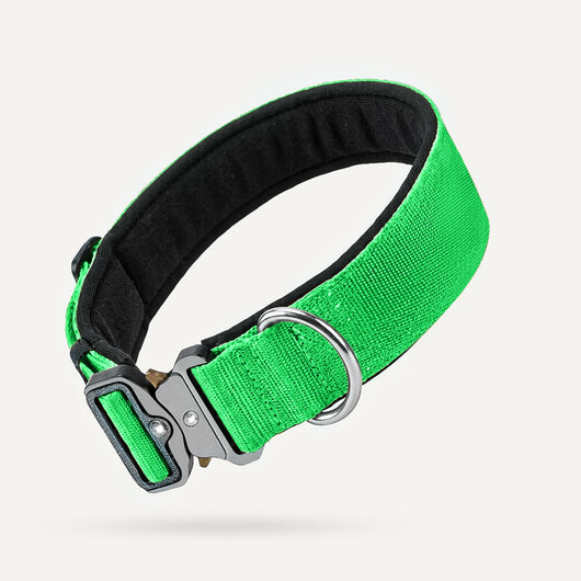 Tactical Dog Collar - Green