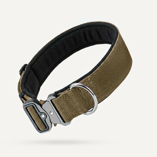 Collier tactique pour chien