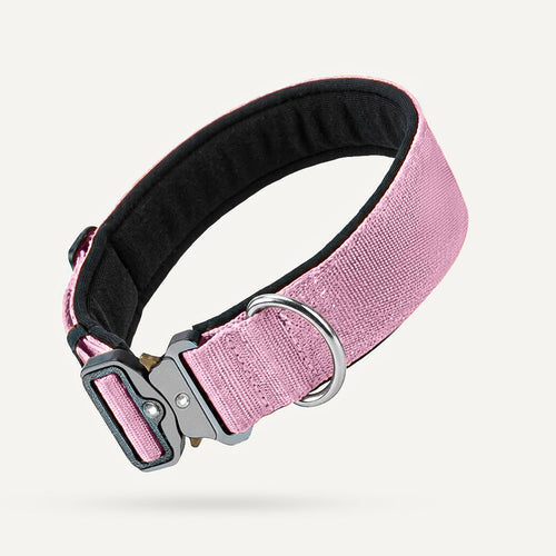 Collier tactique pour chien