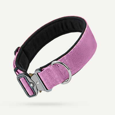 Tactical Dog Collar - Purple