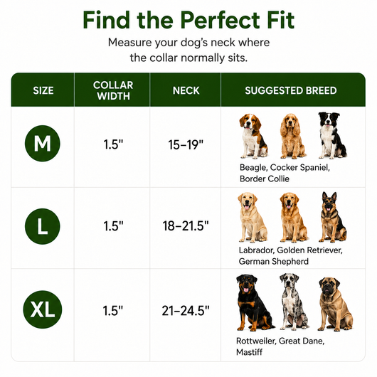 Collar size guide