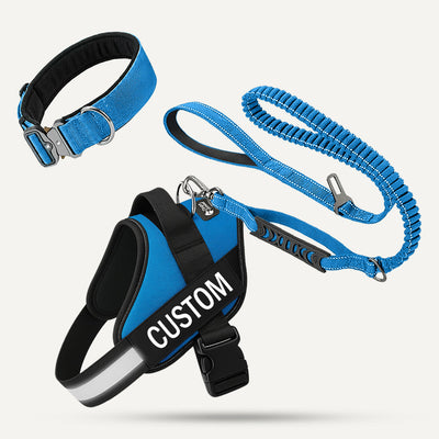 Complete Walk Set - Blue
