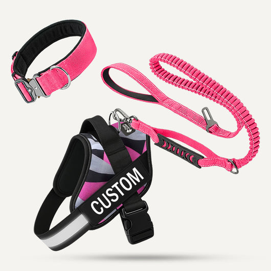Complete Walk Set - Camouflage Pink