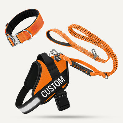 Complete Walk Set - Orange