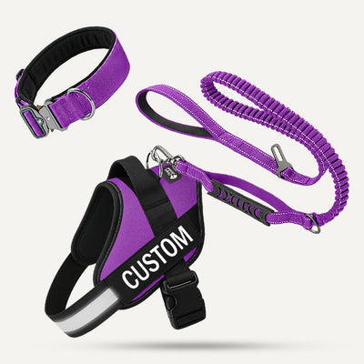 Complete Walk Set - Purple