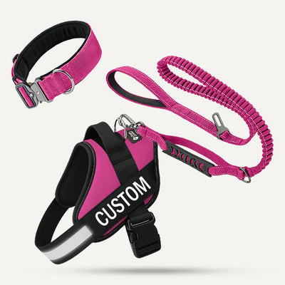 Complete Walk Set - Rose Red