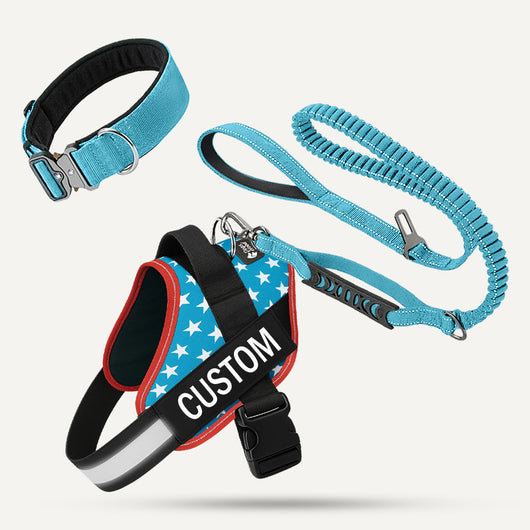Complete Walk Set - USA