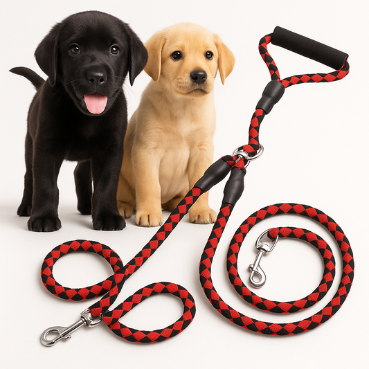 Double Leash