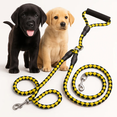 Double Leash