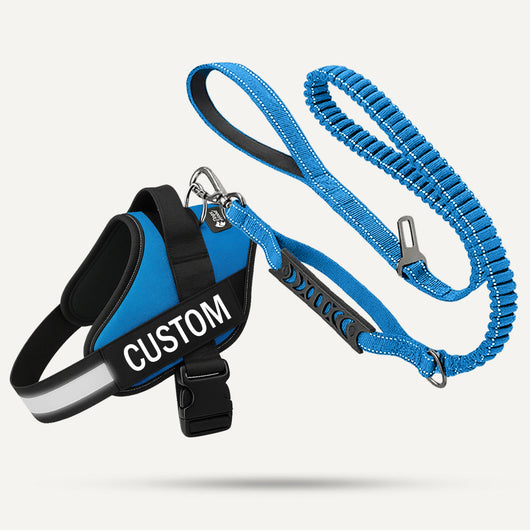 Essentials Set - Blue