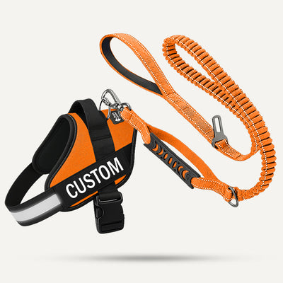Essentials Set - Orange