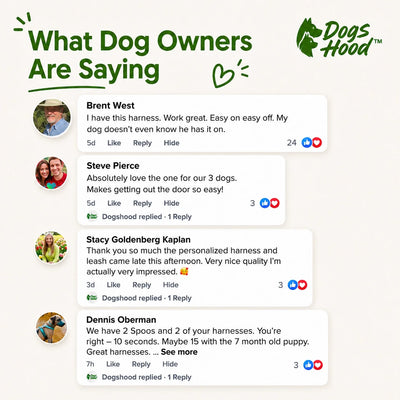 Reviews