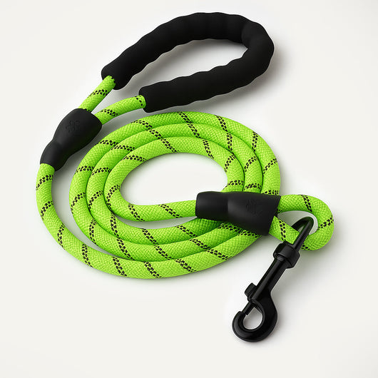 Reflective Nylon Leash