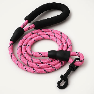 Reflective Nylon Leash