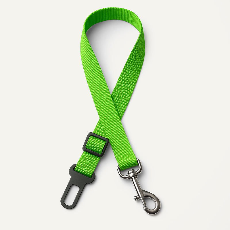 Ceinture de sécurité pour chien