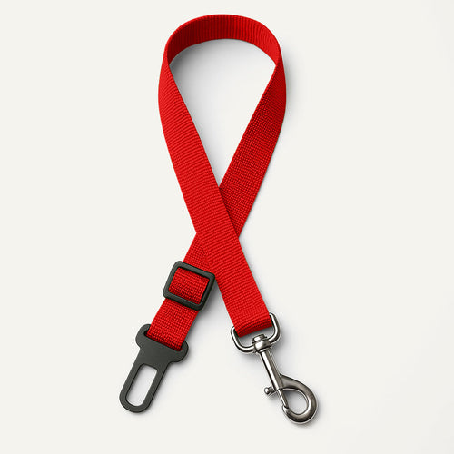 Ceinture de sécurité pour chien