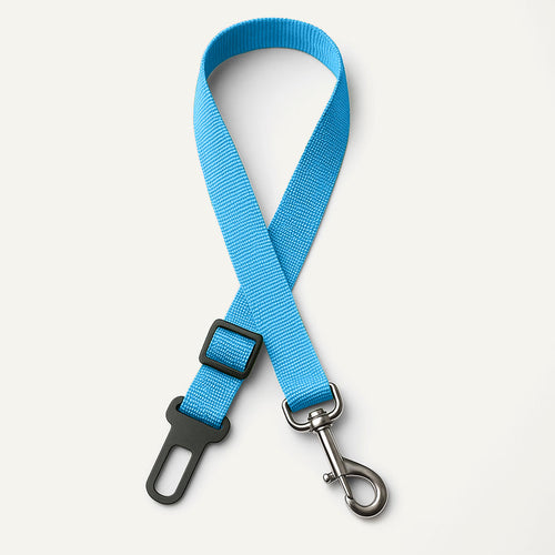 Ceinture de sécurité pour chien