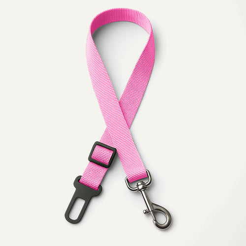 Ceinture de sécurité pour chien