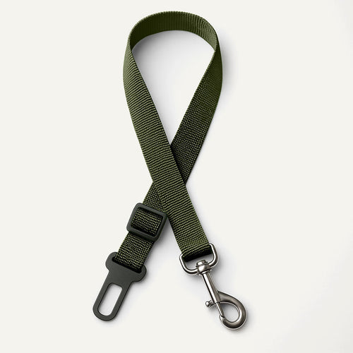 Ceinture de sécurité pour chien