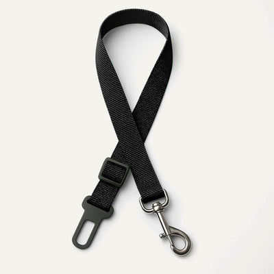 Dog Safety Seat Belt