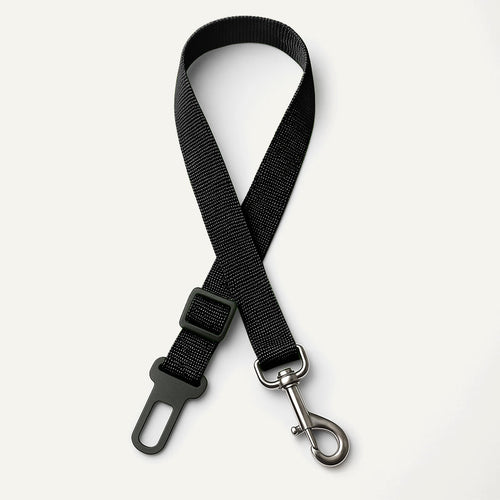 Ceinture de sécurité pour chien