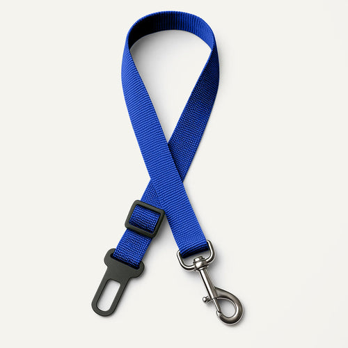 Ceinture de sécurité pour chien