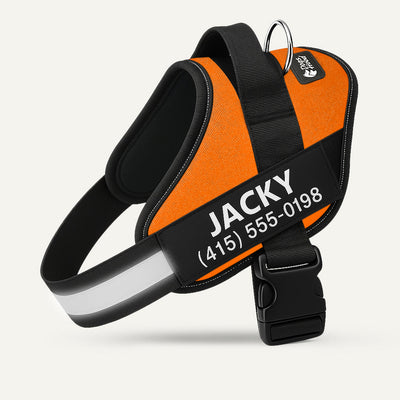 Arvelo Personalized Dog Harness - Orange