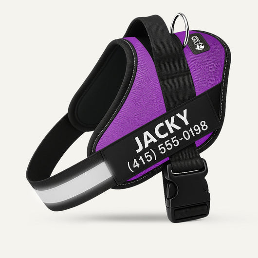 Arvelo Personalized Dog Harness - Purple