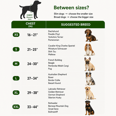 Arvelo harness sizing guide