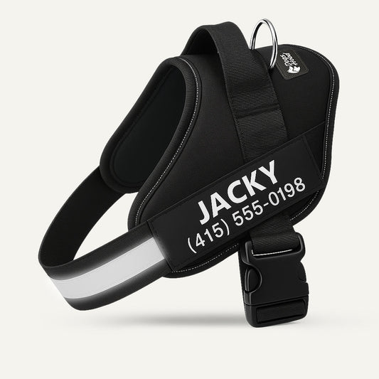 Arvelo Personalized Dog Harness - Black