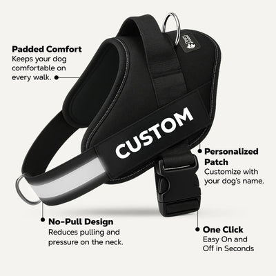 Arvelo harness features