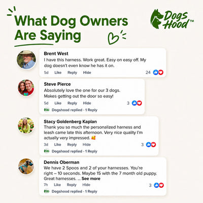 Customer reviews