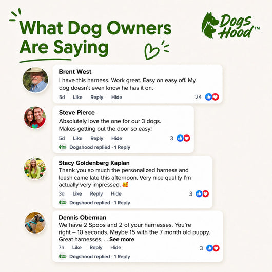 Customer reviews