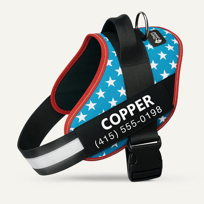 Arvelo Personalized Dog Harness - USA