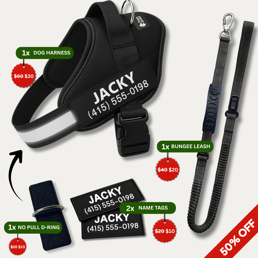 Trousse de promenade anti-traction