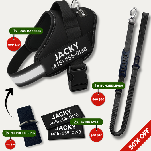No Pull Walking Bundle - Black