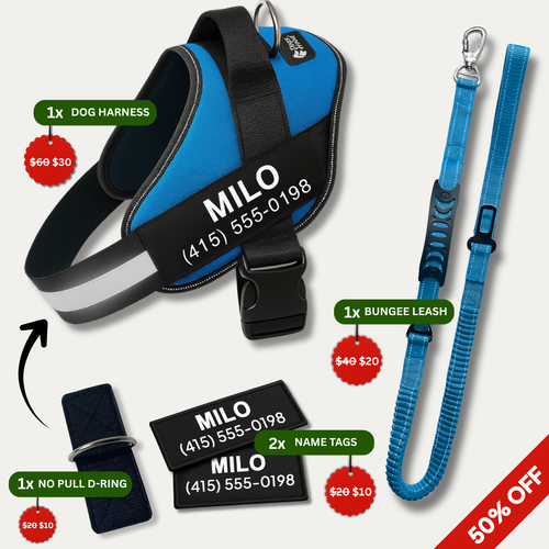 Trousse de promenade anti-traction