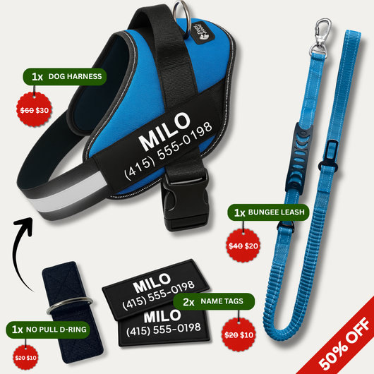 No Pull Walking Bundle - Blue