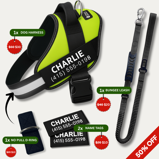 No Pull Walking Bundle - Green