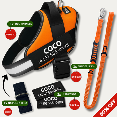 No Pull Walking Bundle - Orange