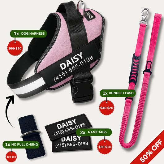 No Pull Walking Bundle - Pink