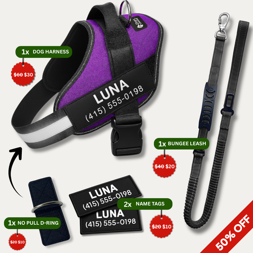 Trousse de promenade anti-traction