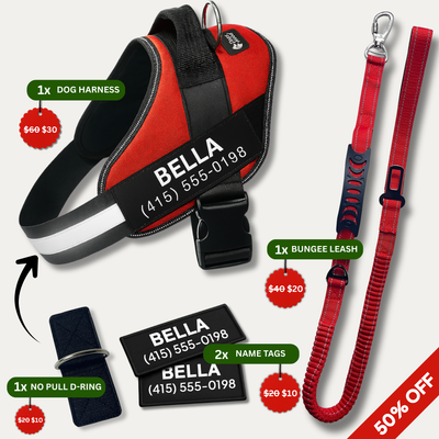 No Pull Walking Bundle - Red
