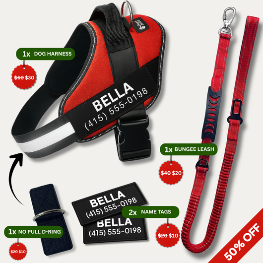 No Pull Walking Bundle - Red
