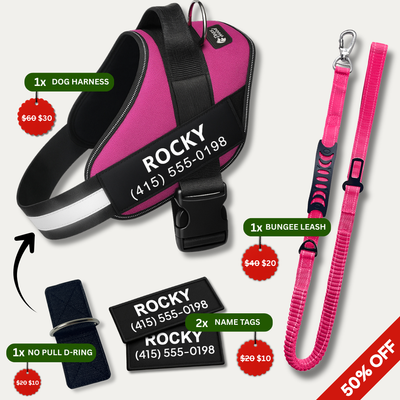 No Pull Walking Bundle - Rose Red